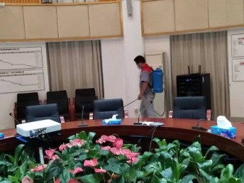 圖 殺蟑螂,滅馬蜂,殺白蟻,找恒洋消殺上門服務公司 深圳保潔 清洗